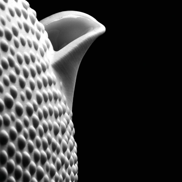 MONOGRAPH In the shadow of a master 2024 NL/FR, 112 p