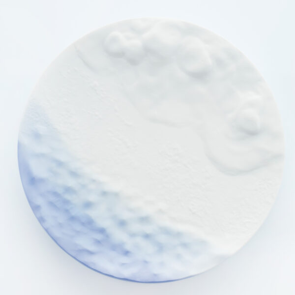 WALL DECORATION plate sea